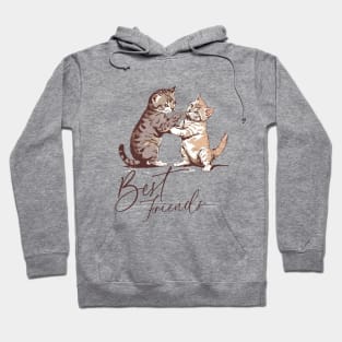 Best Cat Friend Hoodie